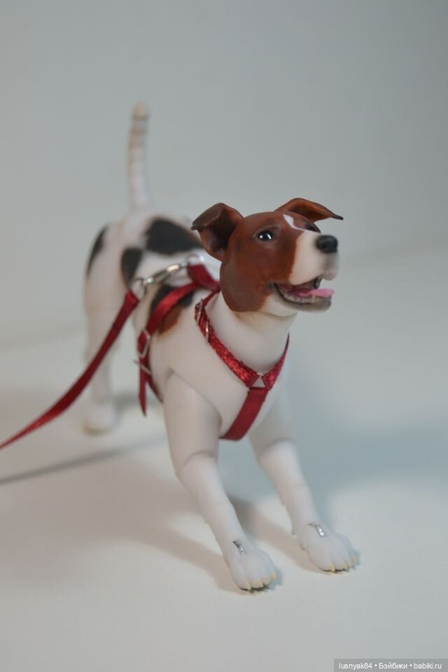 Чапи 🐶🐾 — Куклы Tender Creation (Анна Добрякова): российские BJD (БЖД)