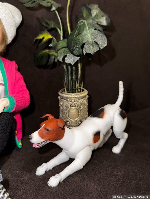 Чапи 🐶🐾 — Куклы Tender Creation (Анна Добрякова): российские BJD (БЖД)