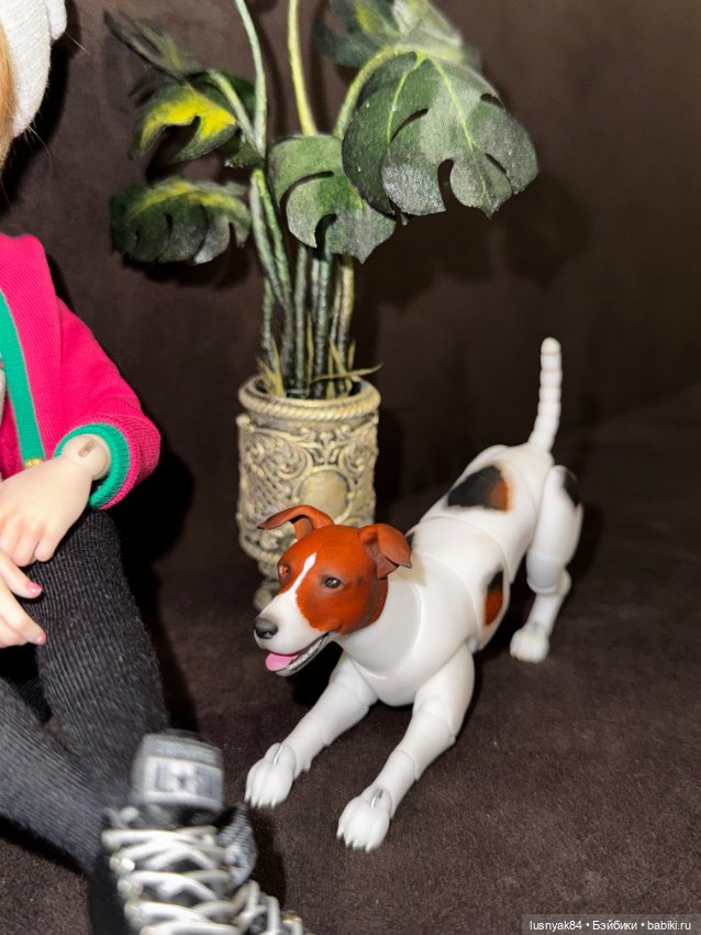 Чапи 🐶🐾 — Куклы Tender Creation (Анна Добрякова): российские BJD (БЖД)