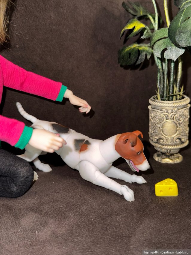 Чапи 🐶🐾 — Куклы Tender Creation (Анна Добрякова): российские BJD (БЖД) (фото 7)