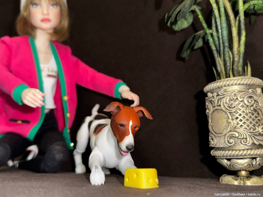 Чапи 🐶🐾 — Куклы Tender Creation (Анна Добрякова): российские BJD (БЖД) (фото 8)