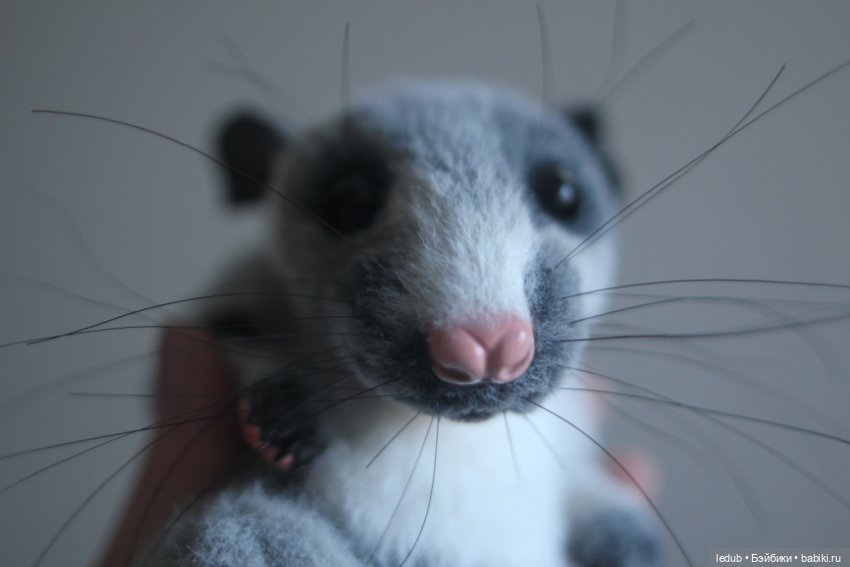 КрЫсота от Лели Дубровиной (фото 8)