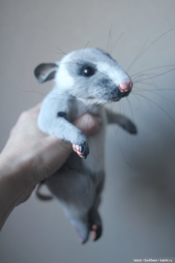 КрЫсота от Лели Дубровиной (фото 2)