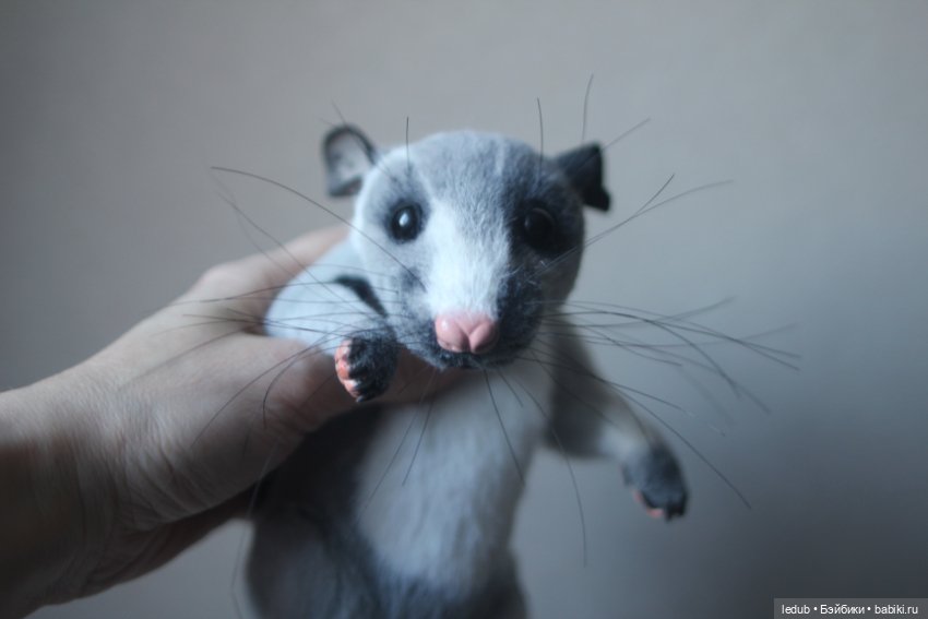 КрЫсота от Лели Дубровиной (фото 4)