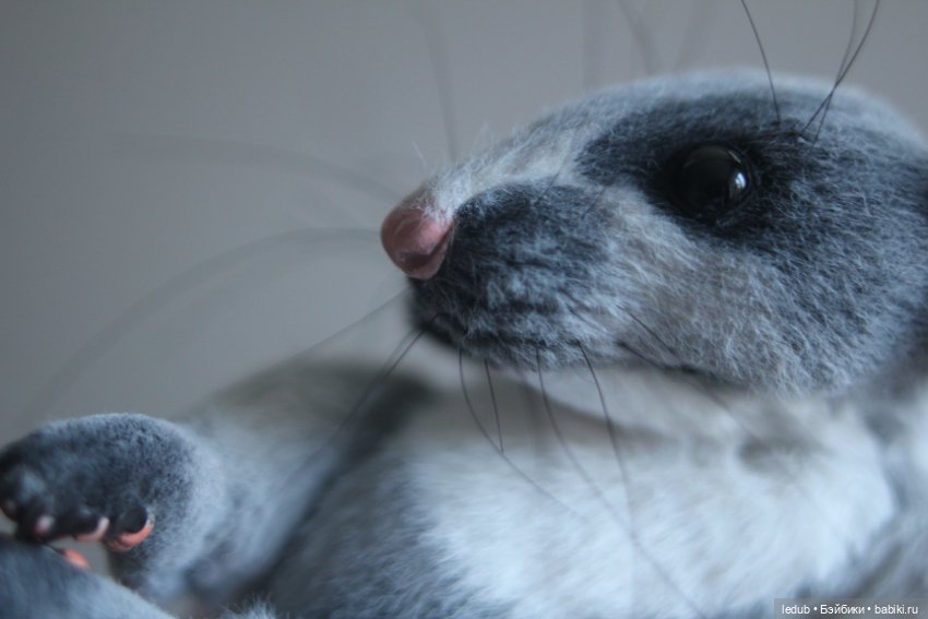 КрЫсота от Лели Дубровиной (фото 9)