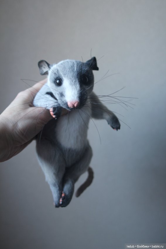 КрЫсота от Лели Дубровиной (фото 3)