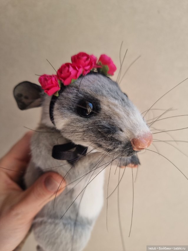 КрЫсота от Лели Дубровиной