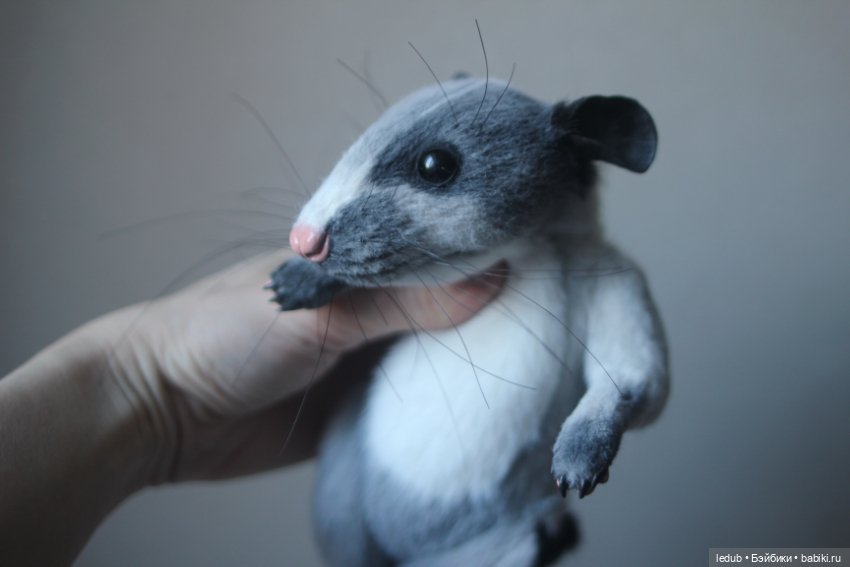 КрЫсота от Лели Дубровиной (фото 5)