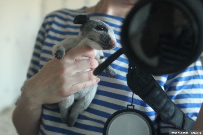 КрЫсота от Лели Дубровиной