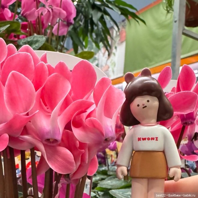 Начало весны ~ 2025 и Kwoni