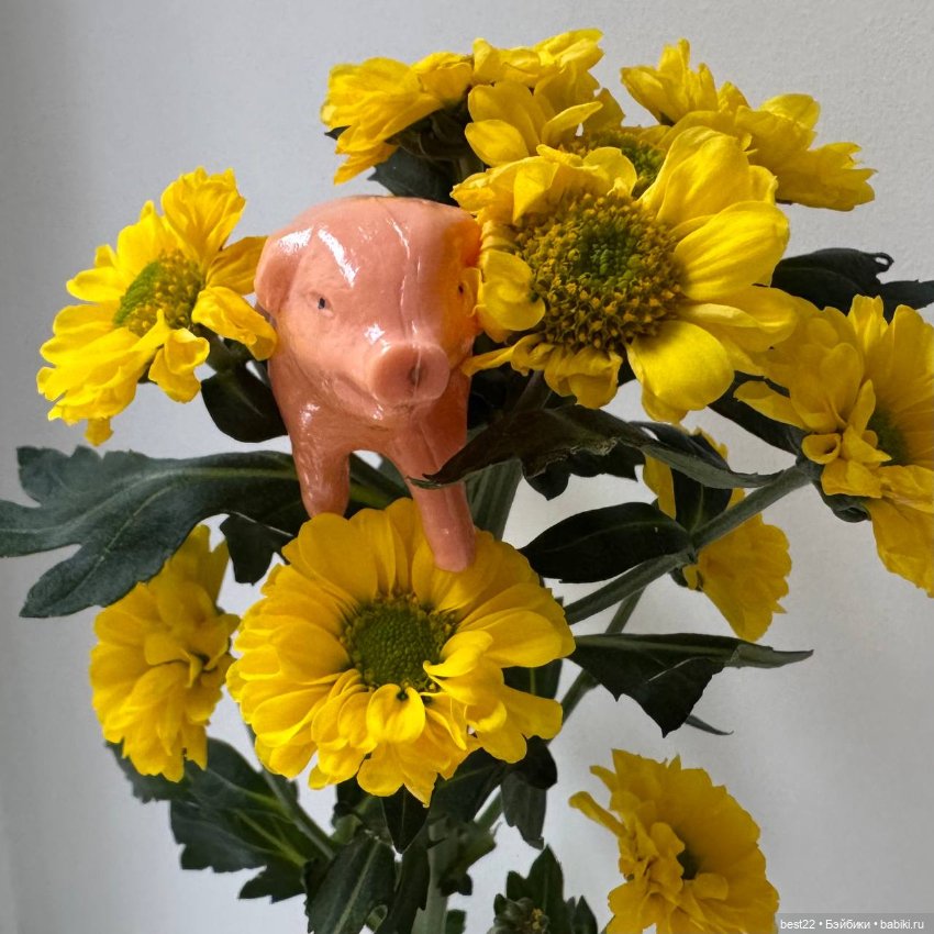 Карманный поросенок — Игрушки СССР и советского детства: резиновые