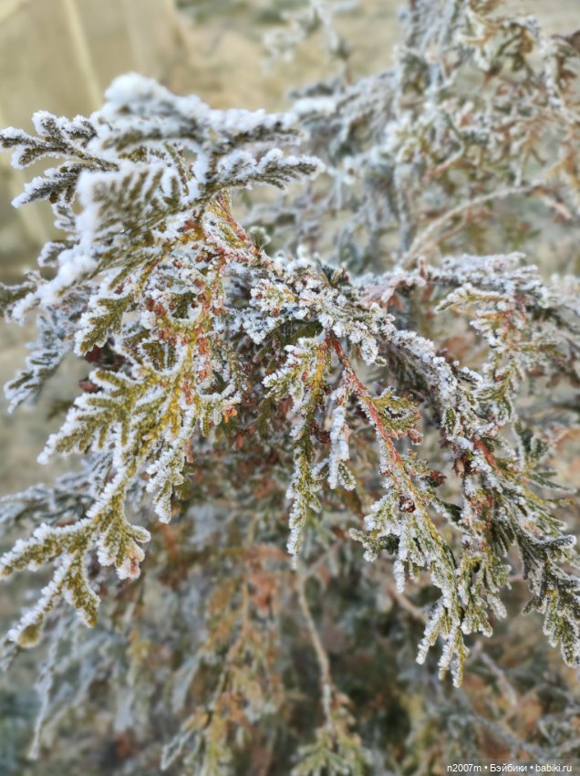 В ожидании снега — Одежда и обувь для кукол своими руками: фото