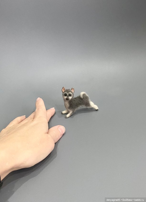 Щенок хаски — Валяные игрушки из шерсти: сухое валяние (фото 6)