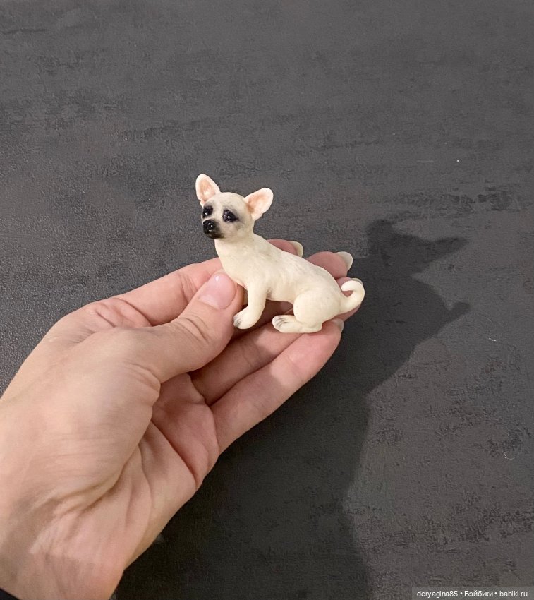 Чихуахуа — Лепка авторских игрушек и папье (фото 6)