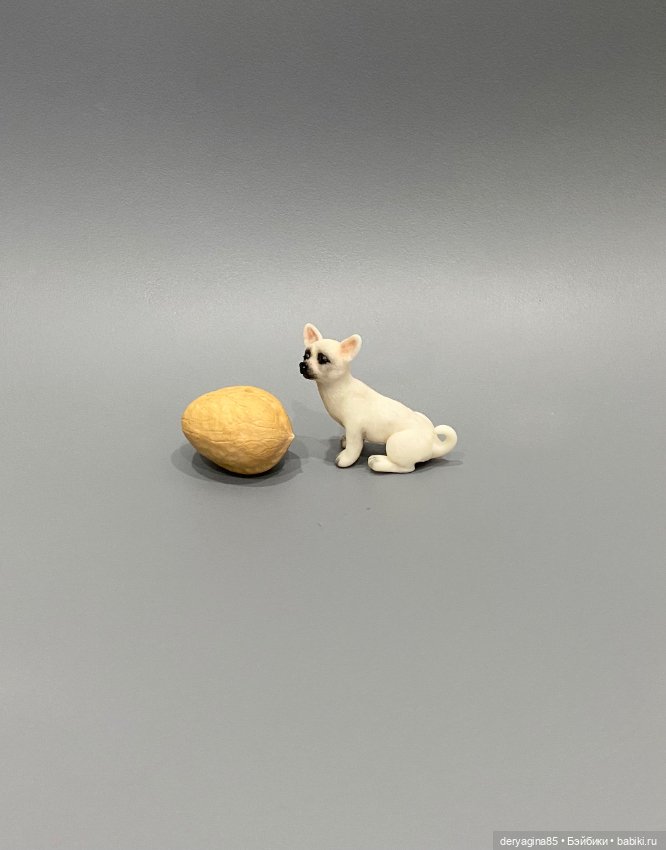 Чихуахуа — Лепка авторских игрушек и папье (фото 8)