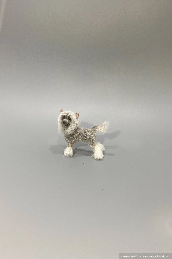 Китайская хохлатая собачка (фото 9)