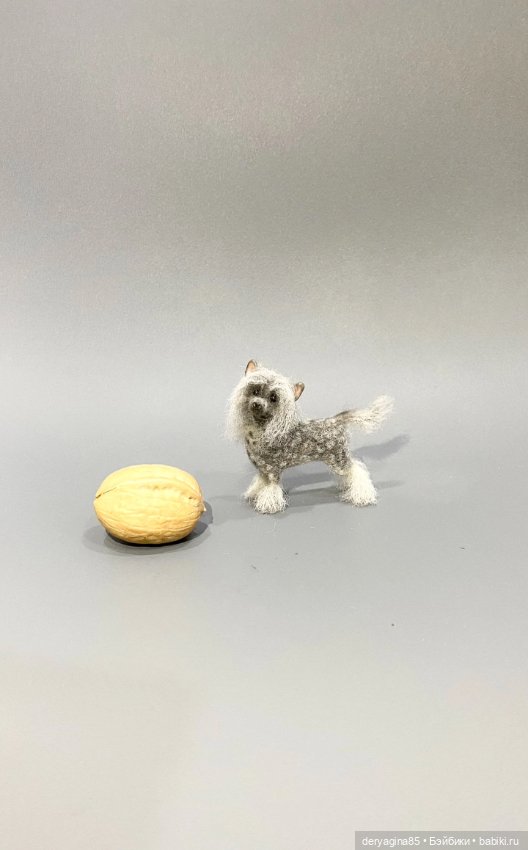 Китайская хохлатая собачка (фото 4)