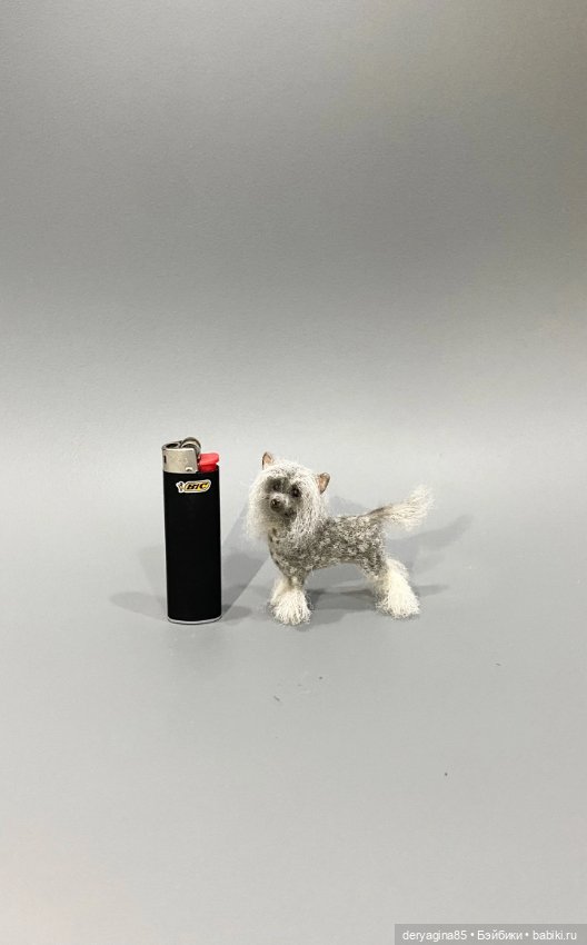 Китайская хохлатая собачка (фото 6)