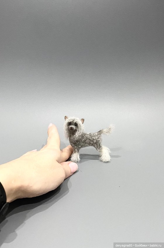 Китайская хохлатая собачка