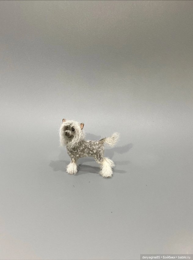 Китайская хохлатая собачка