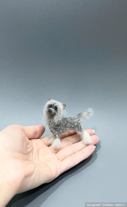 Китайская хохлатая собачка (фото 2)