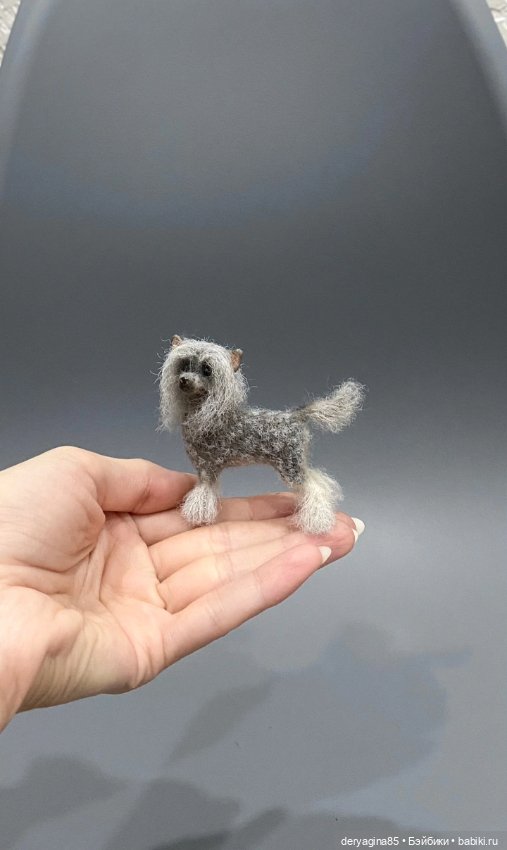 Китайская хохлатая собачка (фото 7)