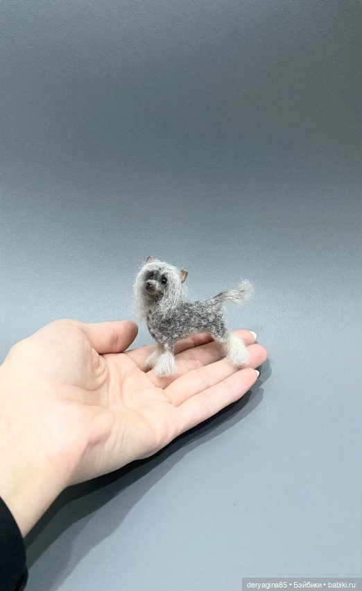 Китайская хохлатая собачка (фото 3)