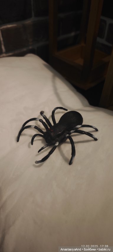 Шалость Сириуса Блэка удалась 😏