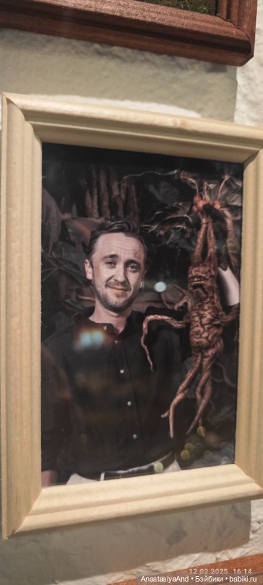 Шалость Сириуса Блэка удалась 😏