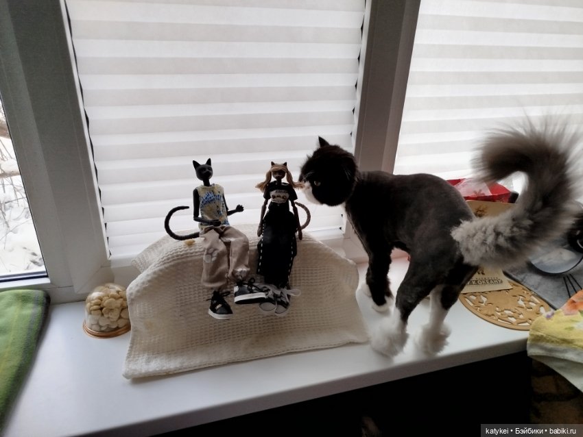 Кот и Кит. От всего сердца (фото 8)