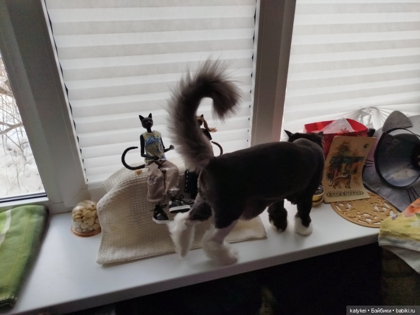 Кот и Кит. От всего сердца (фото 7)