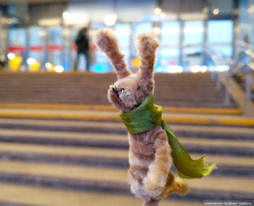 Раз-два-три-четыре-пять, вышел зайка погулять