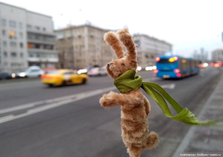 Раз-два-три-четыре-пять, вышел зайка погулять