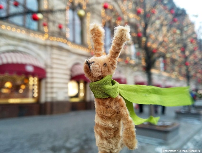 Раз-два-три-четыре-пять, вышел зайка погулять (фото 9)