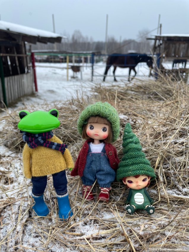 Зима вернулась … — Игровые куклы разных производителей (Разное): редкие бренды (фото 7)