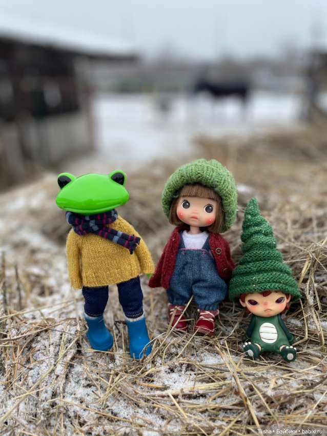 Зима вернулась … — Игровые куклы разных производителей (Разное): редкие бренды (фото 9)