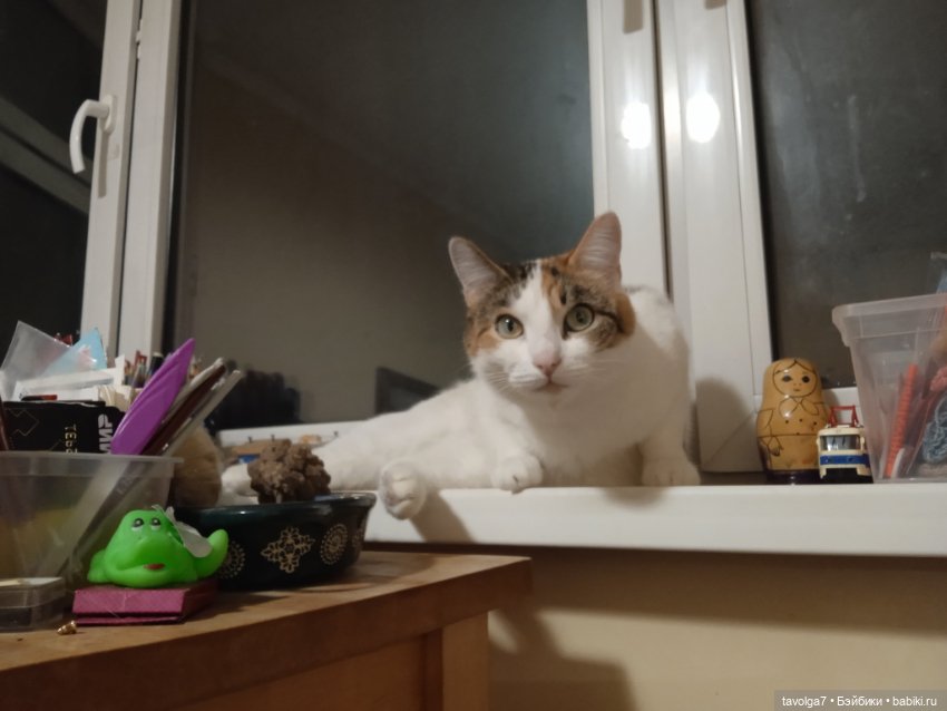 Биггерс пересадка — Куклы Berjuan (Бержуан): Биггерсы (Biggers) (фото 7)