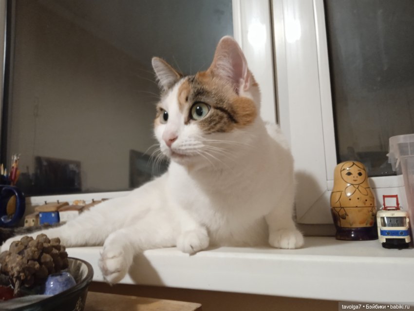 Биггерс пересадка — Куклы Berjuan (Бержуан): Биггерсы (Biggers) (фото 8)