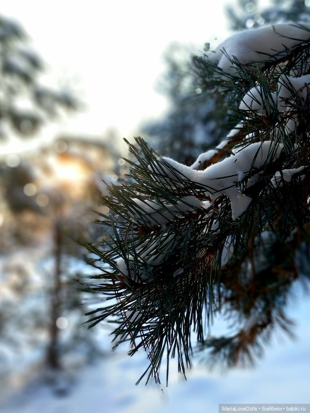 Весенняя ласточка — Куклы Max & Jessi (Любимая подружка): виниловые