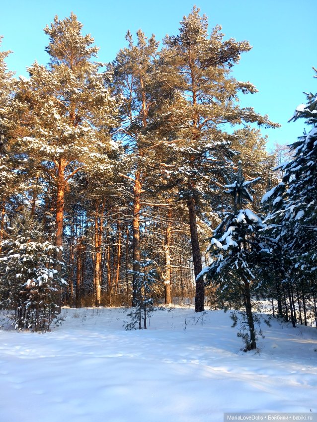 Весенняя ласточка — Куклы Max & Jessi (Любимая подружка): виниловые (фото 4)