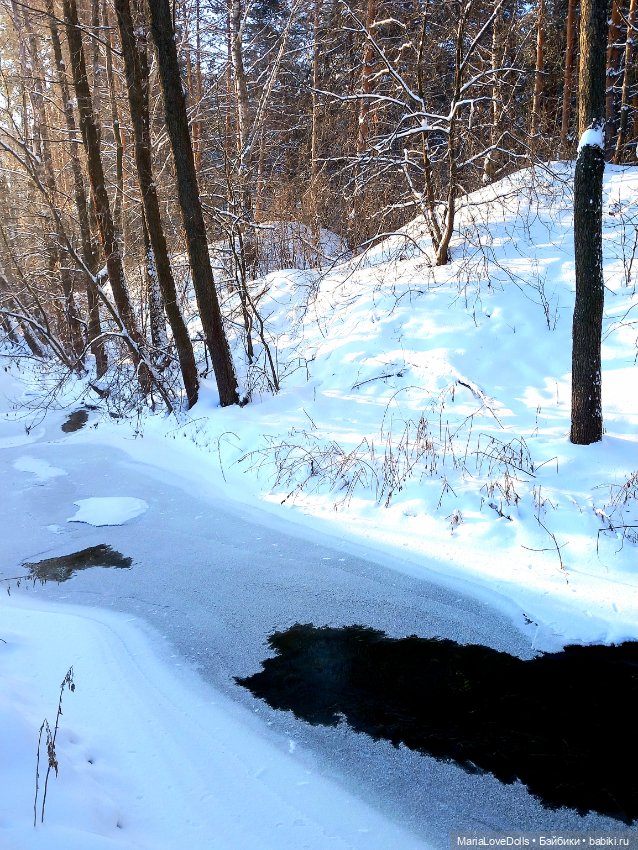 Весенняя ласточка — Куклы Max & Jessi (Любимая подружка): виниловые