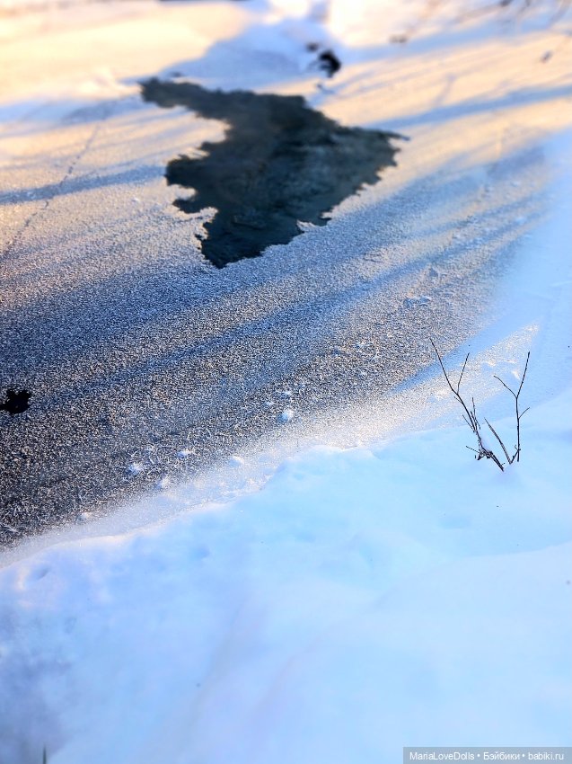 Весенняя ласточка — Куклы Max & Jessi (Любимая подружка): виниловые