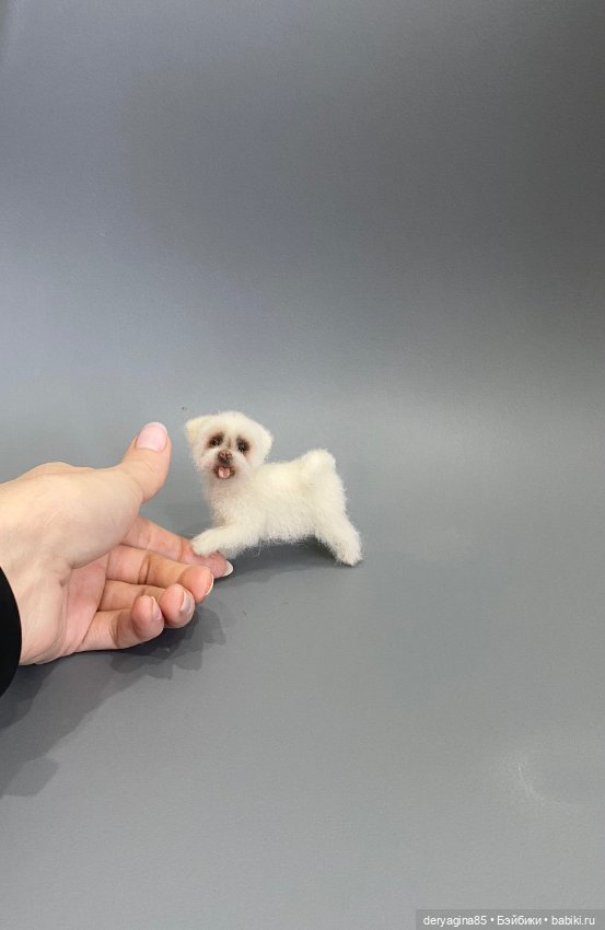 Болонка — Валяные игрушки из шерсти: сухое валяние (фото 7)