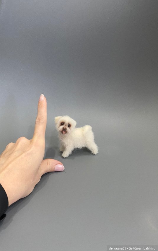 Болонка — Валяные игрушки из шерсти: сухое валяние (фото 9)