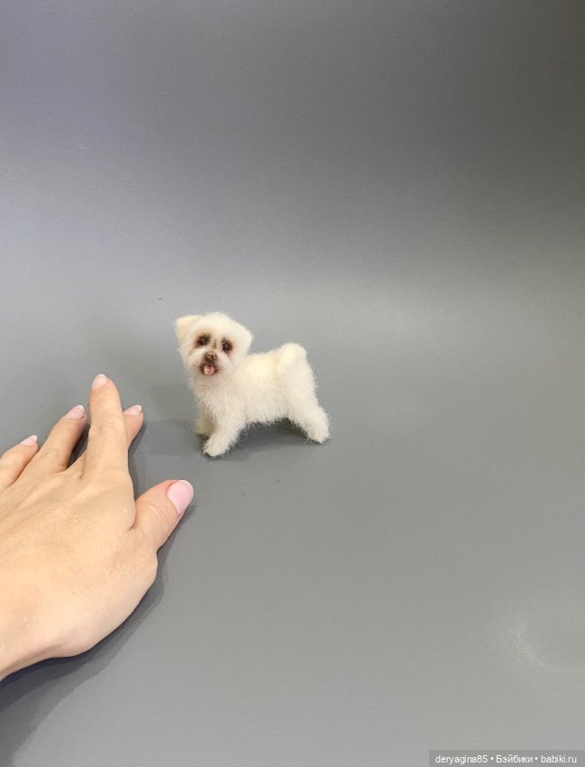 Болонка — Валяные игрушки из шерсти: сухое валяние