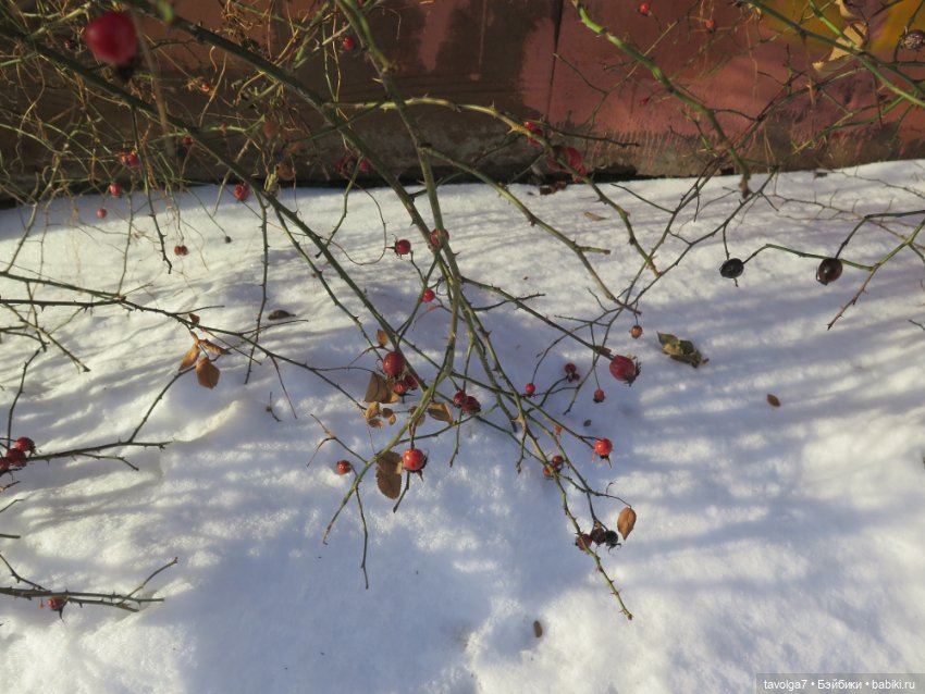 "Стоит ли ждать от перехода зимы к весне..."