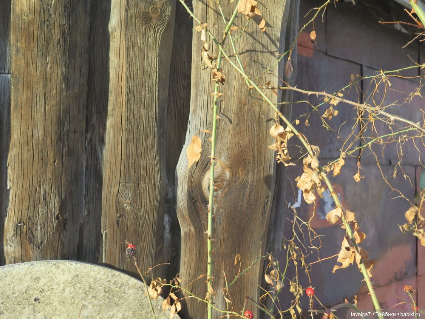 "Стоит ли ждать от перехода зимы к весне..."