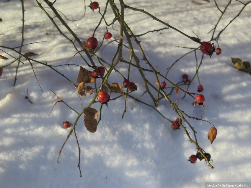 "Стоит ли ждать от перехода зимы к весне..."
