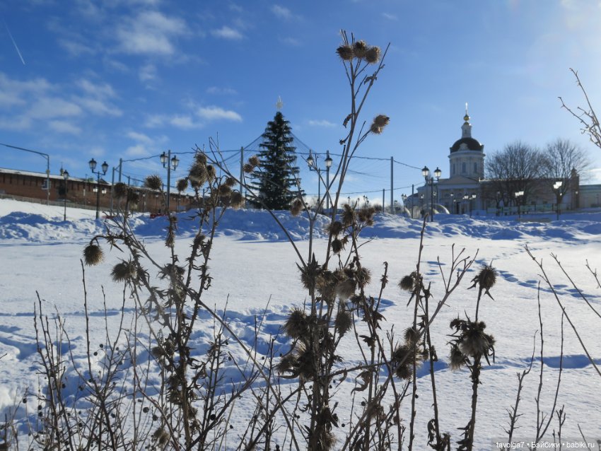 "Стоит ли ждать от перехода зимы к весне..." (фото 2)