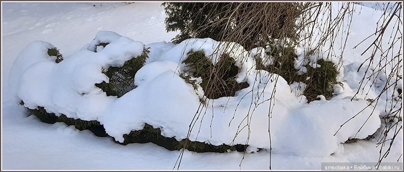 Зима вернулась в Москву — Игровые куклы разных производителей (Разное): редкие бренды (фото 9)